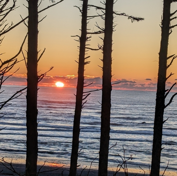 Meet your Posher, Ken - Picture 1 of 1